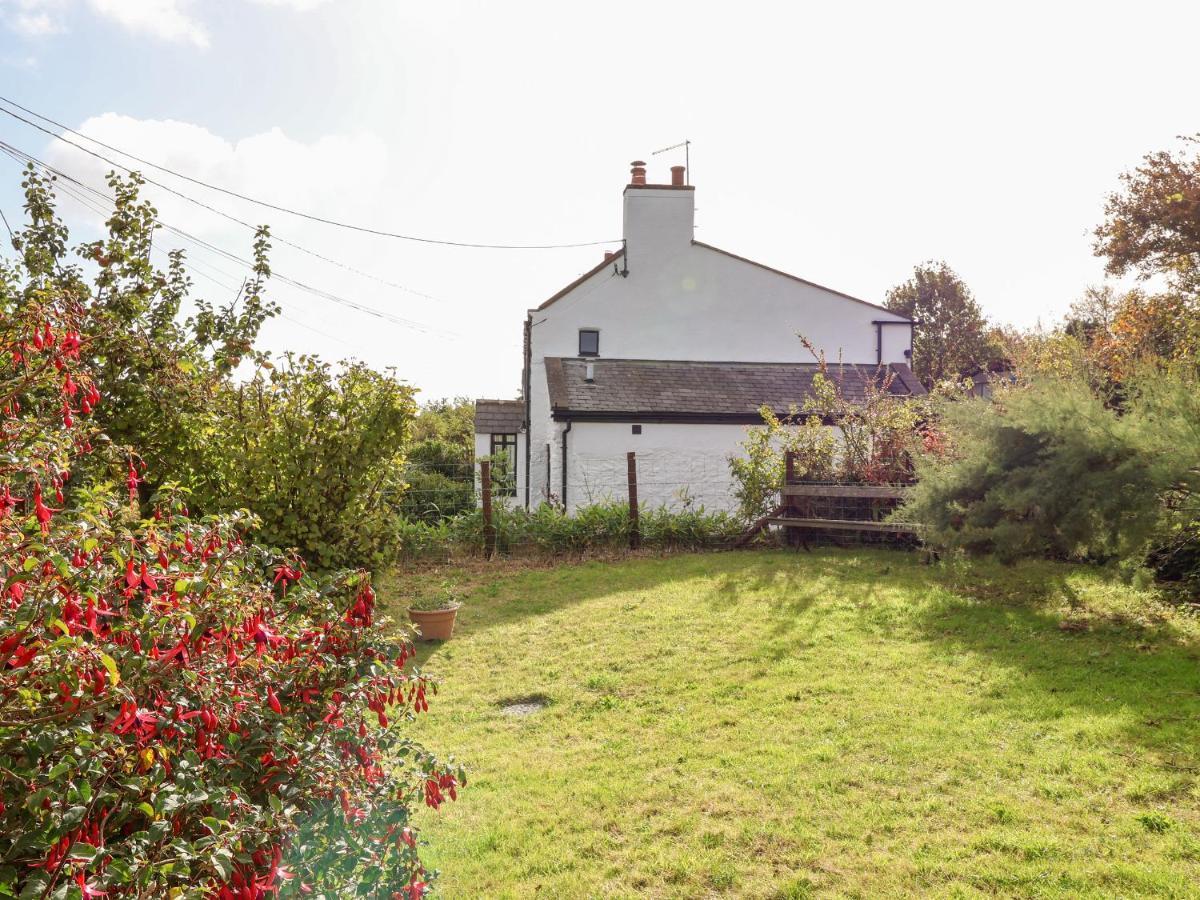 3 Penllan Cottages Холиуэлл Экстерьер фото